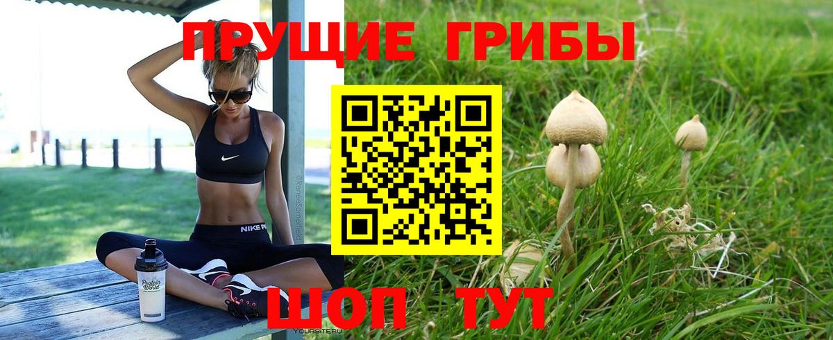 Псилоцибиновые грибы прущие грибы Электросталь